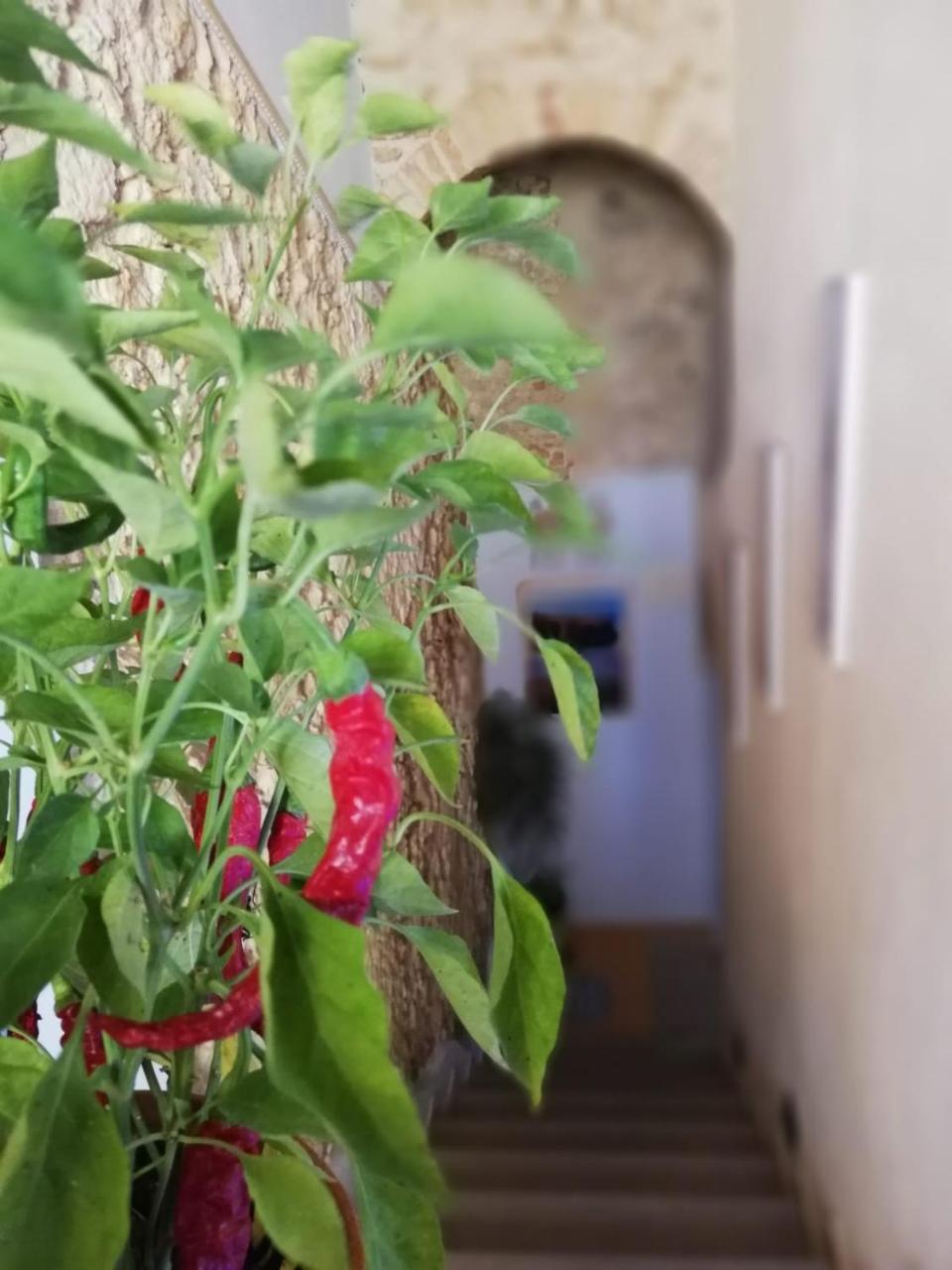 A Casa Di Alessandro Тропеа Екстериор снимка